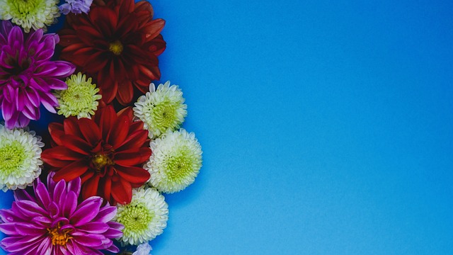 的赛季战绩 的赛季战绩