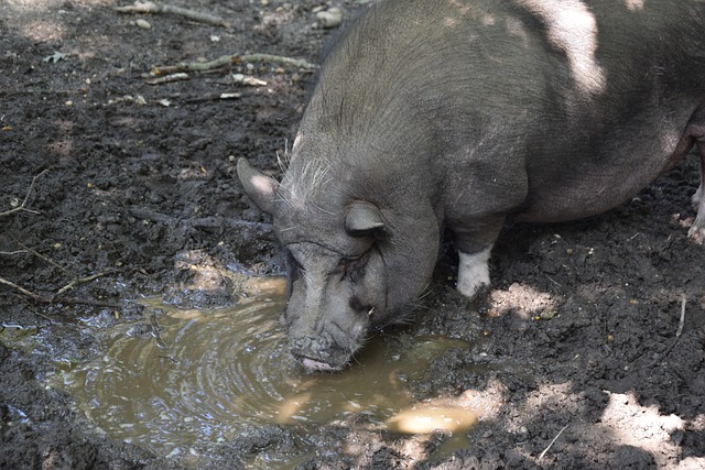队的心理力 队的心理力