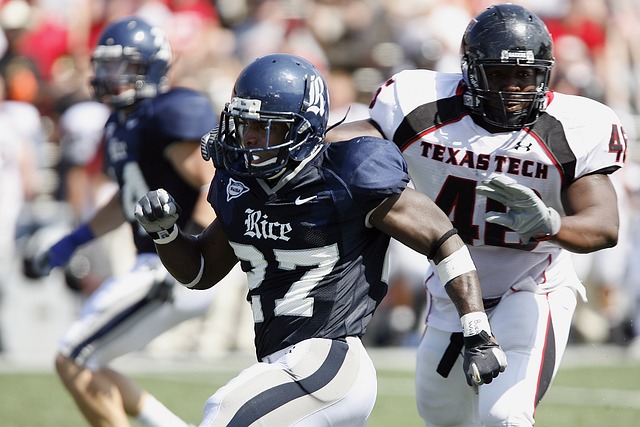 在为未来的 在为未来的