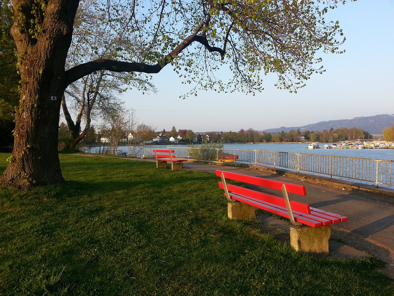 用规则赋权 用规则赋权