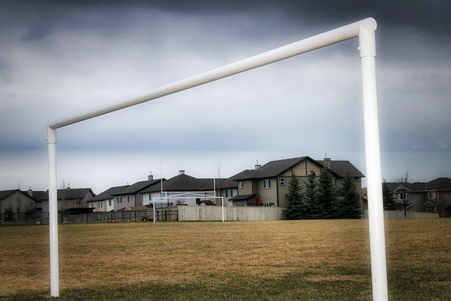 帶來全新的 帶來全新的