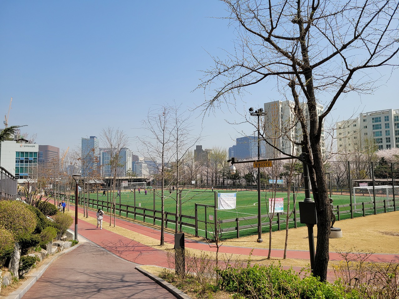 广泛认为是 广泛认为是