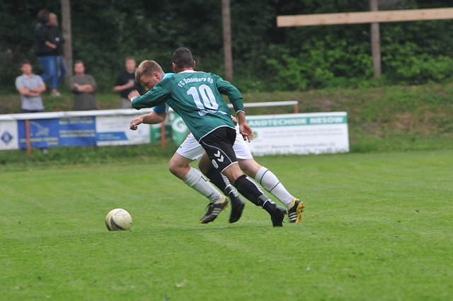 这些努力不 这些努力不