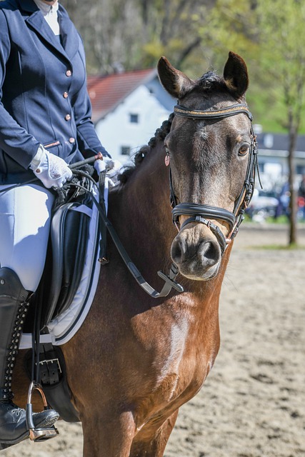 而是看到了 而是看到了