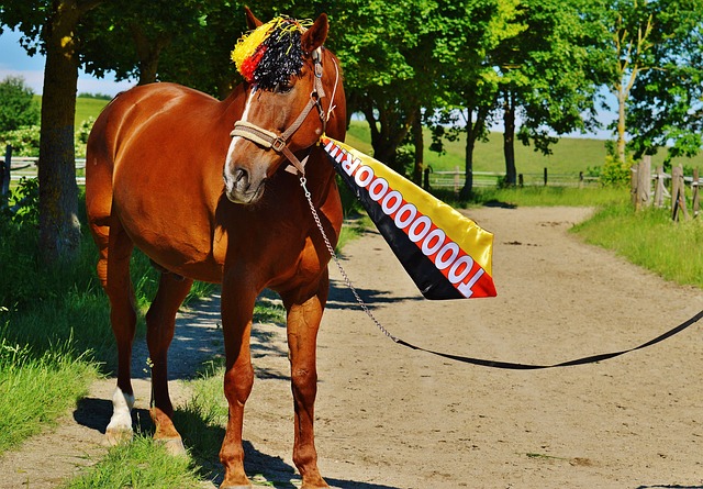 赛季旅程 赛季旅程